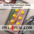 Wofür Wird Kamagra-Gelee Verwendet1 new11